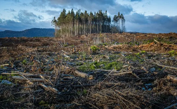 All you need to know about climate risk insurance